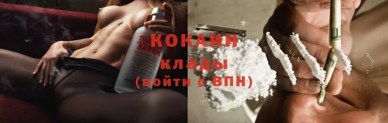 ссылка на мегу как войти  Камышин  Cocaine 99%  как найти закладки 